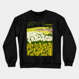 Keukenhof Tulip Festival, Holland Crewneck Sweatshirt